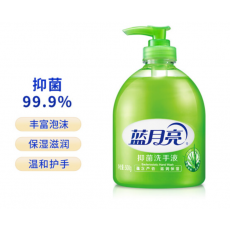 蓝月亮芦荟抑菌洗手液500g瓶