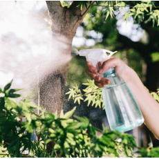 漫生活 500ml喷壶 手持喷雾器 园艺浇花家居清洁75%酒精消毒喷水壶 水柱/雾状 小清新绿