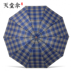 天堂300雨伞
