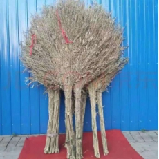 大竹扫把 户外加大加宽扫帚 环卫工人专用 重3斤高1.6米