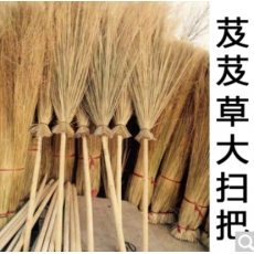 大扫把（芨芨草）