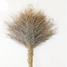 S270814 手工大竹扫 加厚环卫大扫把大扫帚