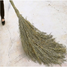 环卫竹扫把大扫把竹枝连体3.7斤