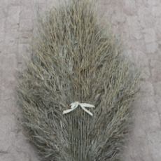 大扫把 笤帚扫帚 竹扫把