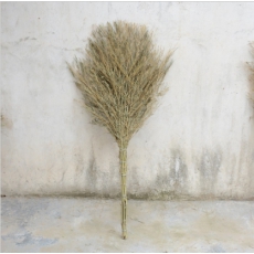 大竹叶扫把（个）