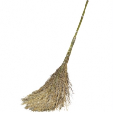 大扫把