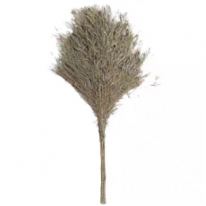 竹扫帚大扫把扫马路家用户外竹苗竹丝天然植物