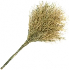 竹扫把
