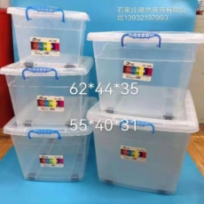 整理箱（大号）