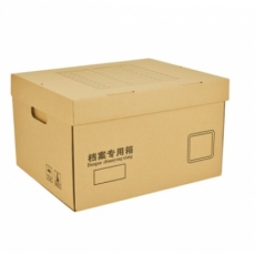 齐晨 档案箱/文件书籍整理收纳箱一体密封式 无酸牛皮纸档案盒 13号箱1个装（450*345*250mm）