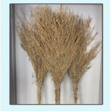 大扫把 170厘米竹 计价把