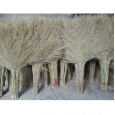 大扫帚 手工竹扫帚竹制大扫把环卫工厂物业家庭清洁