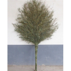 环卫扫把笤帚扫帚 扫马路竹扫把 竹扫帚大扫把 大竹扫竹子